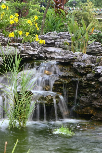 Cascada Vegetación Del Jardín Chino Lingnan —  Fotos de Stock