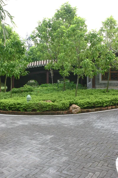 Chemin Bétonné Dans Jardin Lingnan — Photo