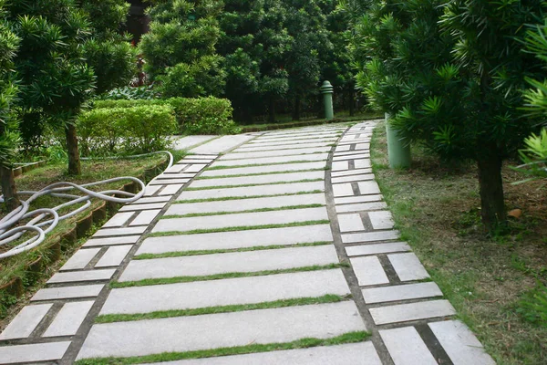 Sentiero Cemento Nel Giardino Lingnan — Foto Stock
