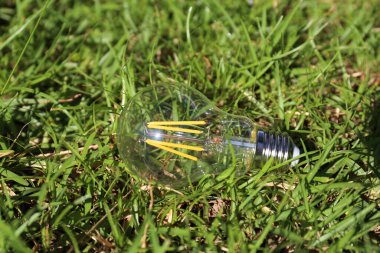 Yeşil çimlerin üzerinde duran ampul.