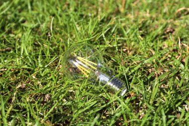 Yeşil çimlerin üzerinde duran ampul.