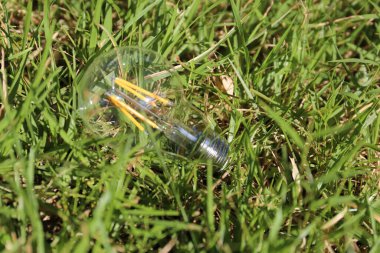 Ampul yeşil çim üzerinde yalan