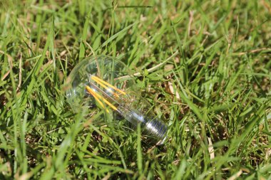 Ampul yeşil çim üzerinde yalan