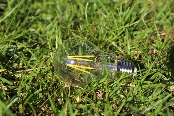 Ampul yeşil çim üzerinde yalan