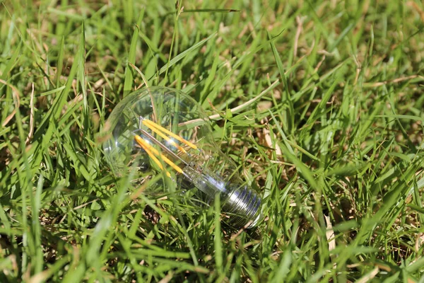 Ampul yeşil çim üzerinde yalan