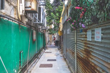 Canlı yeşil bir duvar ve paslı panjurlarla çevrili dar bir sokak.