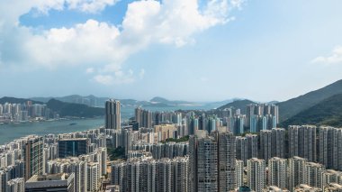 Şen şakrak Shau Kei Wan bölgesinde yaşayan bir şehir.