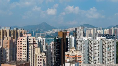 Şen şakrak Shau Kei Wan bölgesinde yaşayan bir şehir.