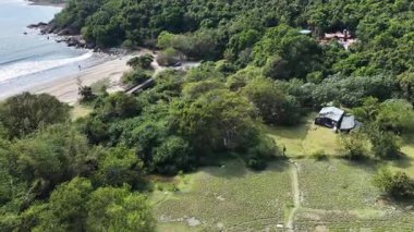 Huzurlu Bataklık Pui O Doğa Manzarası Hong Kong, 25 Ekim 2025