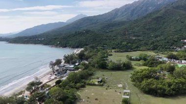 Huzurlu Bataklık Pui O Doğa Manzarası Hong Kong, 25 Ekim 2025