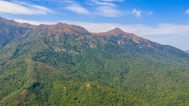 Sonbahar yürüyüş yolu Altın çimenler ve mavi gökyüzü