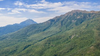 Sonbahar yürüyüş yolu Altın çimenler ve mavi gökyüzü