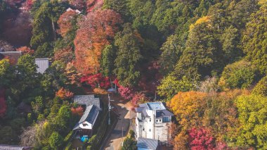 Shikan 'ın Tapınak Kültür ve Ruhani Mirası 27 Kasım 2025' te keşfedilmesi