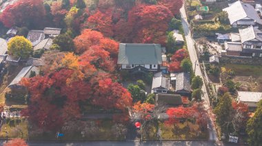 Eski Byakugo Tapınağı Kültür ve Ruhani Mirası 27 Kasım 2025 'te keşfedildi.