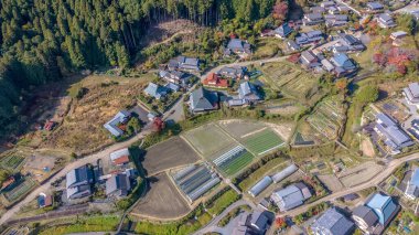 Ohara Kyoto 'da geniş bir çim düzlüğü. Japonya 23 Kasım 2025' te düştü.