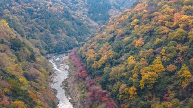 24 Kasım 2025 sonbahar yeşilliği ve nehir manzaralı kayalık vadi.