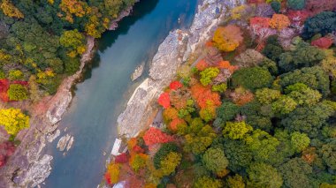 24 No.2025 Katsura Nehri boyunca sonbahar yaprakları ile sakin nehir kenarı
