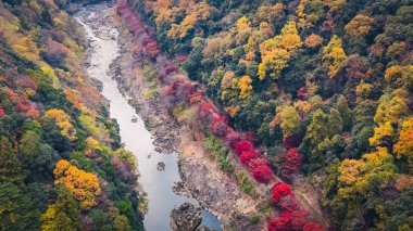 24 No.2025 Katsura Nehri boyunca sonbahar yaprakları ile sakin nehir kenarı