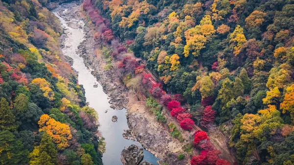 24 No.2025 Katsura Nehri boyunca sonbahar yaprakları ile sakin nehir kenarı