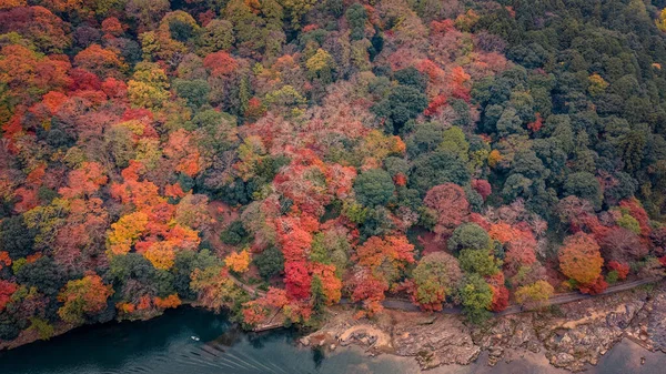 24 Kasım 2025 'te akan nehrin yanında kayalık bir vadi oluşturan sonbahar ağaçları.