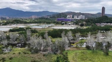 Nam Sang Wai Wetland Kırsal Arazi Hong Kong, 20 Aralık 2025