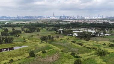 Nam Sang Wai Wetland Kırsal Arazi Hong Kong, 20 Aralık 2025