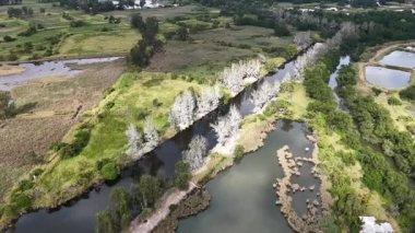 Nam Sang Wai Wetland Kırsal Arazi Hong Kong, 20 Aralık 2025