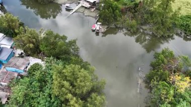 Nam Sang Wai Wetland Kırsal Arazi Hong Kong, 20 Aralık 2025