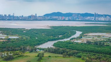 Güzel nehir yemyeşil ve açık alanlarla çevrili 20 Aralık 2025