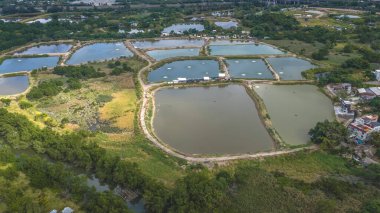 Huzurlu su ve 20 Aralık 2025 tarihli sazlıkların yer aldığı güzel sulak arazi manzarası