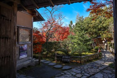 Huzurlu Japon tapınak bahçesi, canlı sonbahar yeşillikleri 23 Kasım 2025