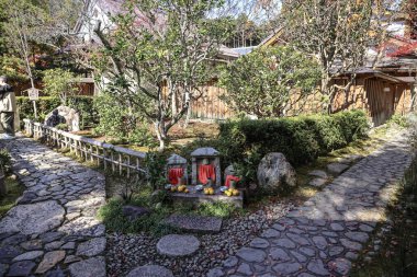 Huzurlu Japon tapınak bahçesi, canlı sonbahar yeşillikleri 23 Kasım 2025