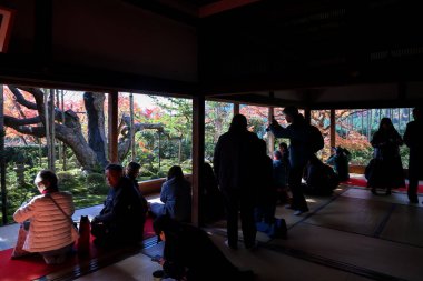 Japon tarihi mimarisi. 23 Kasım 2025 'te renkli sonbahar yeşillikleriyle çevrili.