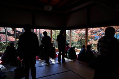 Japon tarihi mimarisi. 23 Kasım 2025 'te renkli sonbahar yeşillikleriyle çevrili.