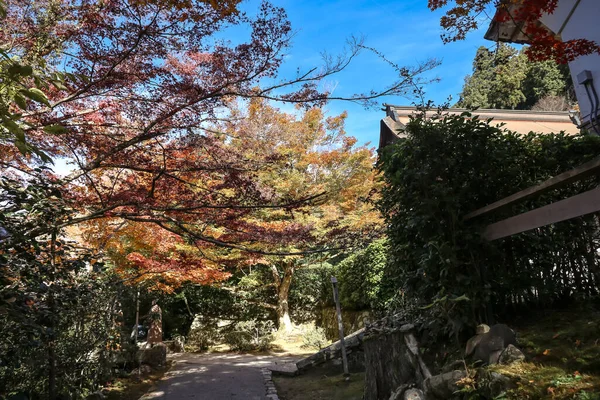 Huzurlu Japon tapınak bahçesi, canlı sonbahar yeşillikleri 23 Kasım 2025