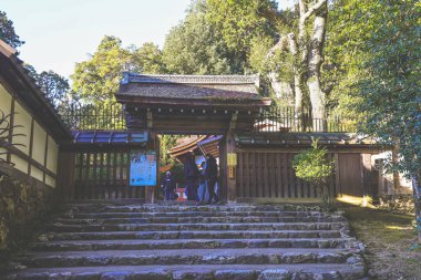 Geleneksel Shinto Tapınağı Mimarisi 23 Kasım 2025