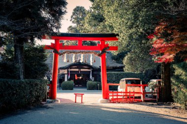 Antik Shinto tapınağı huzur dolu doğal güzelliklerle çevrili 23 Kasım 2025