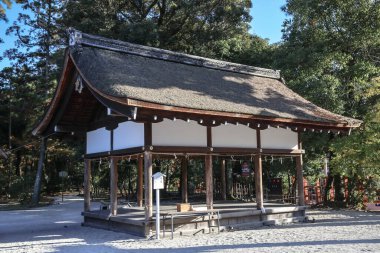 Antik Shinto tapınağı huzur dolu doğal güzelliklerle çevrili 23 Kasım 2025