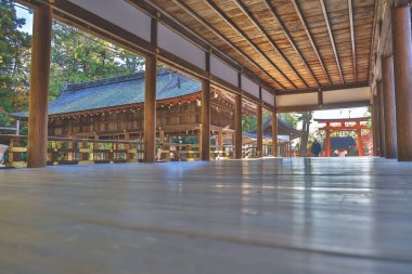 Antik Shinto tapınağı huzur dolu doğal güzelliklerle çevrili 23 Kasım 2025