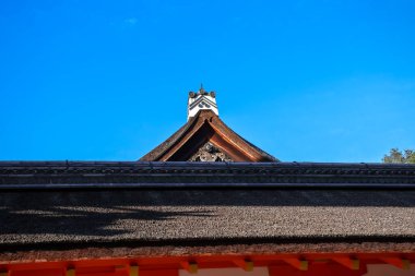 Antik Shinto tapınağı huzur dolu doğal güzelliklerle çevrili 23 Kasım 2025