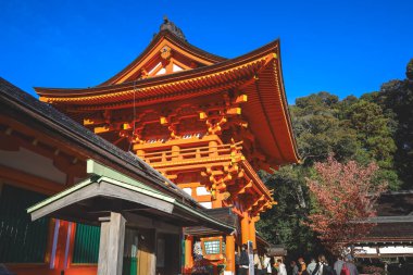 Antik Shinto tapınağı huzur dolu doğal güzelliklerle çevrili 23 Kasım 2025