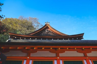 Antik Shinto tapınağı huzur dolu doğal güzelliklerle çevrili 23 Kasım 2025