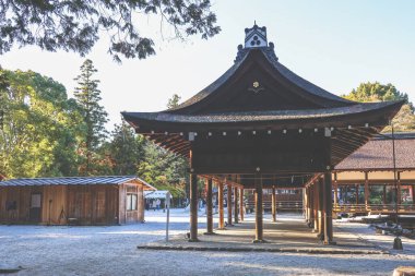 Antik Shinto tapınağı huzur dolu doğal güzelliklerle çevrili 23 Kasım 2025