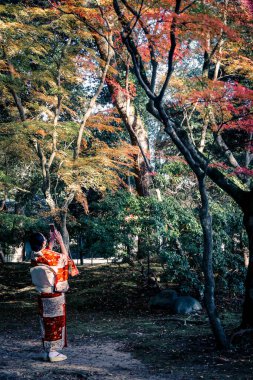 Bereketli yeşil manzaralı geleneksel Japon bahçesi 23 Kasım 2025