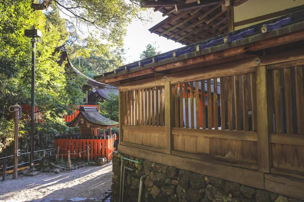 Antik Shinto tapınağı huzur dolu doğal güzelliklerle çevrili 23 Kasım 2025