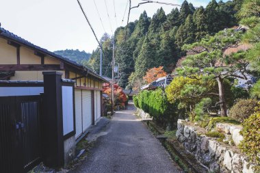 Dağlarla ve tarlalarla çevrili huzurlu köy 23 Kasım 2025