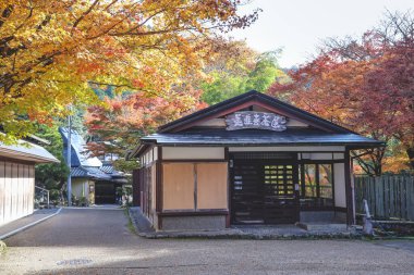 Barışçıl Japon dağ köyü 23 Kasım 2025 'te günlük kırsal yaşam