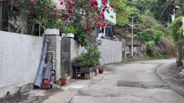 Shan Pui Tsuen Traditional Rural Village Landscape, Hong Kong, Dec 20, 2025