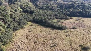 Reed Field, Tranquil Wetland Güzeli Luk Keng 'de, 3 Ocak 2026