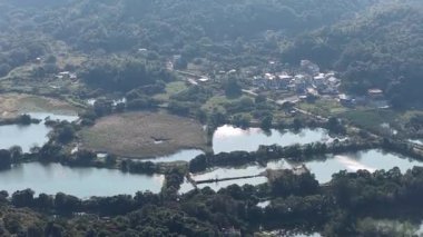 Luk Keng Balık Havuzu: Huzurlu Doğa ve Vahşi Yaşam Lekesi, 3 Ocak 2026